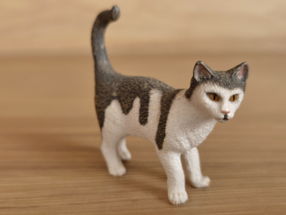 kočka  13638, model 2008