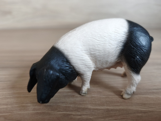 prasnice švábská  13612, model 2005