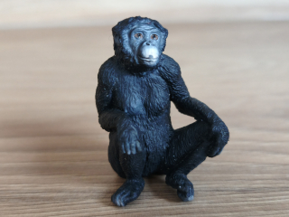 Opice Bonobo 14875