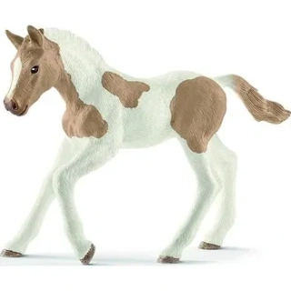 Paint hříbě 13886, model 2018, nové