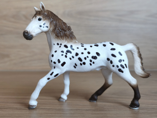 knabstrupperský hřebec 13889, model 2018