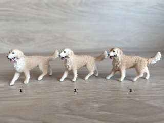 zlatý retrívr fena  16395, model 2013