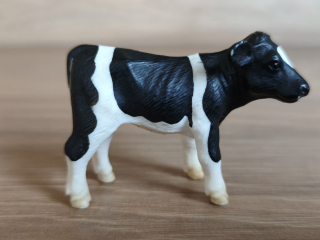 tele holštýnské  13139, model 2000