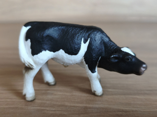 tele holštýnské  13615, model 2006