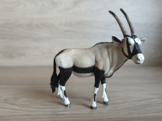 antilopa Oryx 14759, model 2015