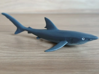 žralok modrý 16096, model 1995