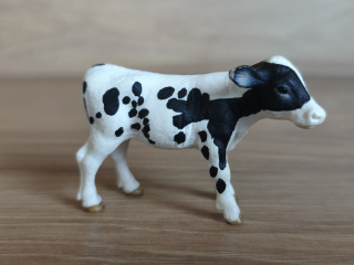 tele holštýnské  13634, model 2007