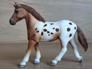 Appaloosa hřebec 42433, model 2017