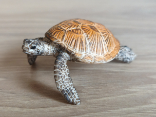 želva mořská 14695, model 2012