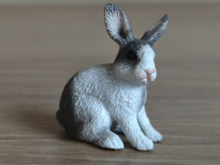 králík  13673, model 2010