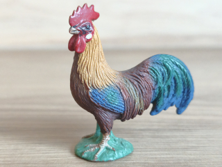 kohout  13645, model 2008