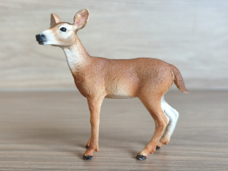 Laň jelence 14819, model 2018