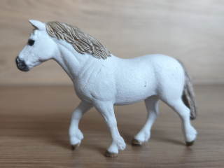 Poník Welsh 13872, model 2017