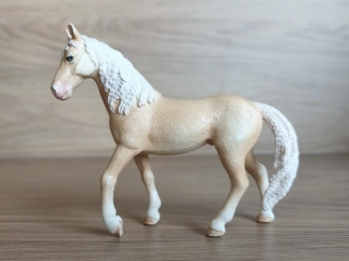 Achaltekinský kůň 13911, model 2019