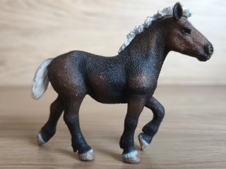Černý lesní hříbě – roční 13665, model 2009