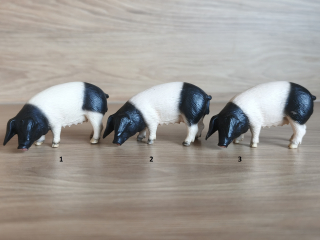 prasnice švábská  13612, model 2005