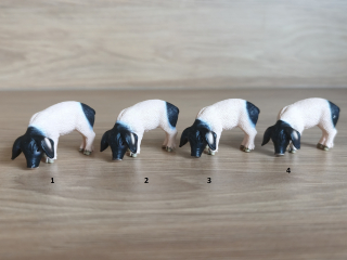 sele švábské  13635, model 2007