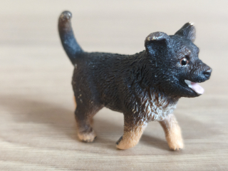 Německý ovčák štěně 16832, model 2014