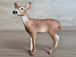 Laň jelence 14819, model 2018