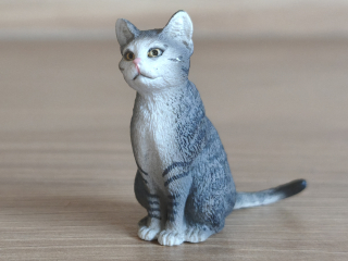 kočka  13771, model 2014