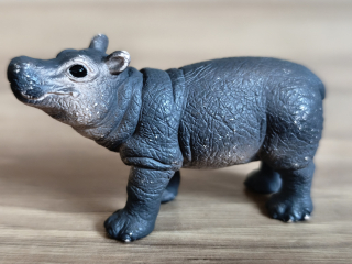hroch mládě 14831, model 2019