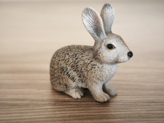 králík divoký  14631, model 2009