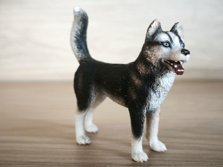 husky  16371, model 2007