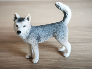 husky  16372, model 2007