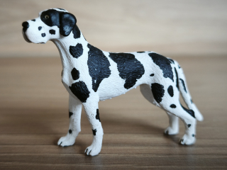 Německá doga  16384, model 2009