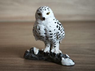 sova sněžná 14671, model 2011