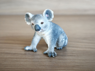 koala 14815, model 2017