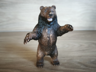medvěd Grizzly stojící 14128
