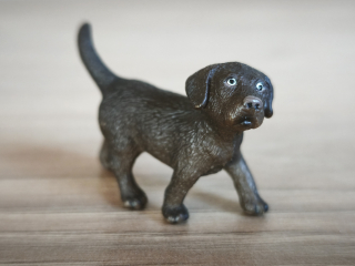 labrador hnědý štěně 16388, model 2009