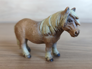 Shetlandský poník 13232, model 1995