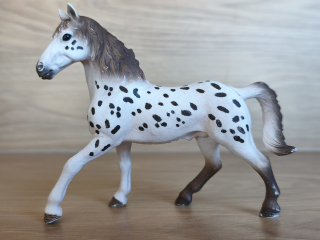 knabstrupperský hřebec 13889, model 2018