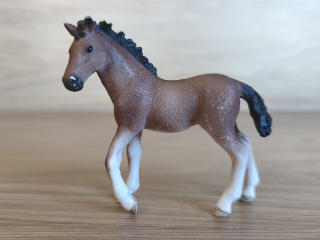 Andaluské hříbě 13822, model 2016
