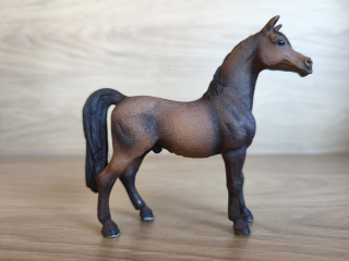 Arabský hřebec 13629, model 2007