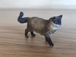 kočka Ragdoll 13940, model 2021
