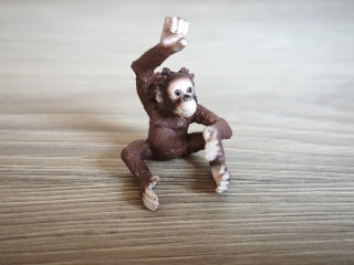 orangutan mládě 14776, model 2016