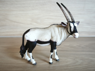 antilopa Oryx  14759, model 2015