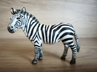 zebra  14392, model 2008